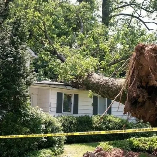 Storm Damage Repair Services in Northern Indianapolis